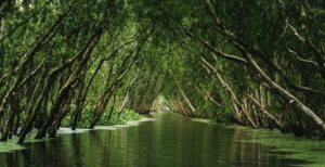 UP farmers get carbon credit payments