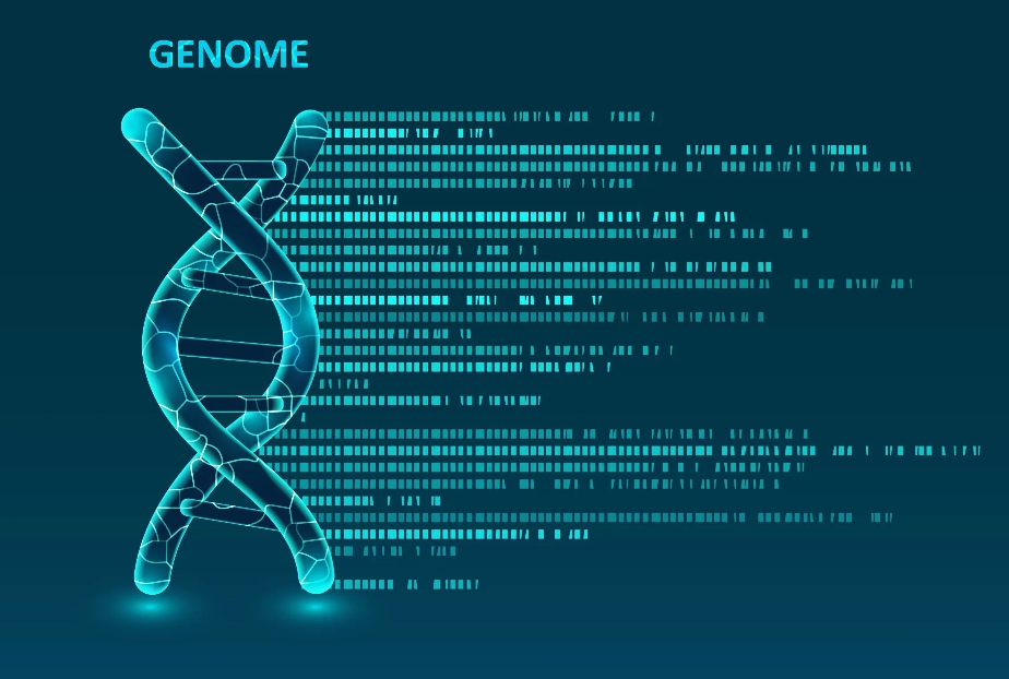 Alpine launches advanced genome sequencing