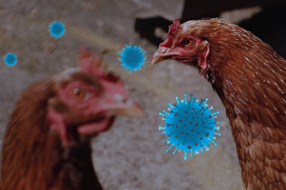 UP sounds bird flu alert